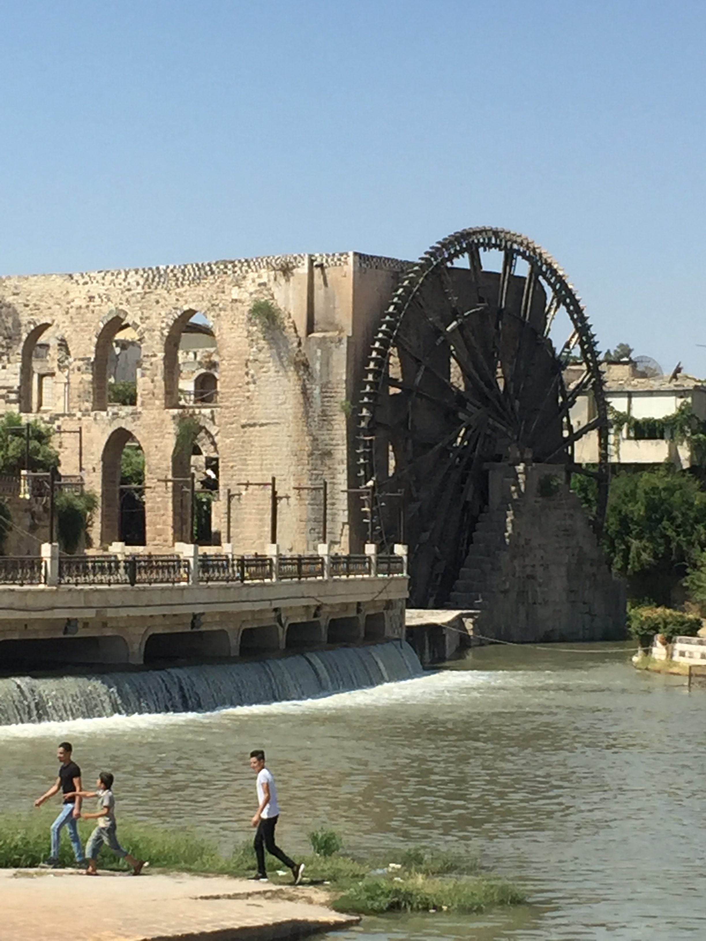 L'acqua di Hama